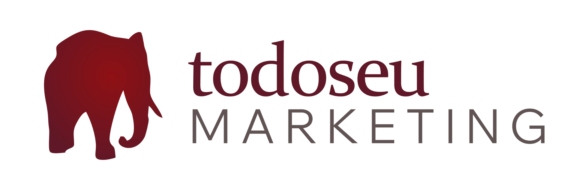 todoseu marketing